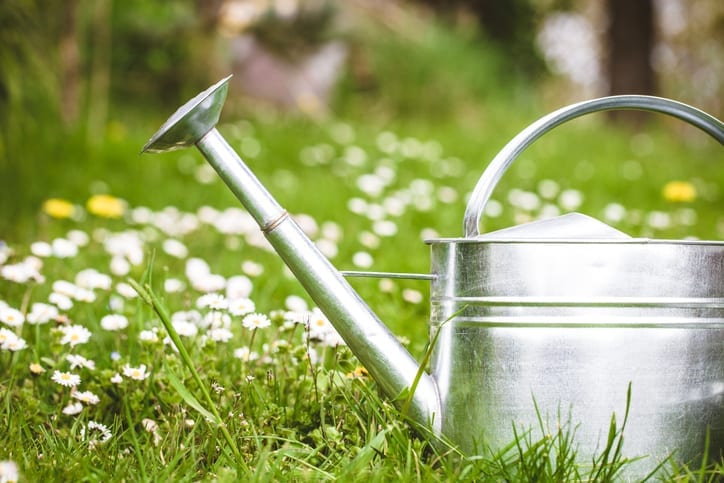 Garden watering can. Create your own garden or she shed.