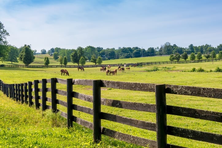 Horse Pasture - Cumberland Buildings Horse and Livestock Barns