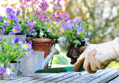 6 Ways to Improve Your Garden Shed