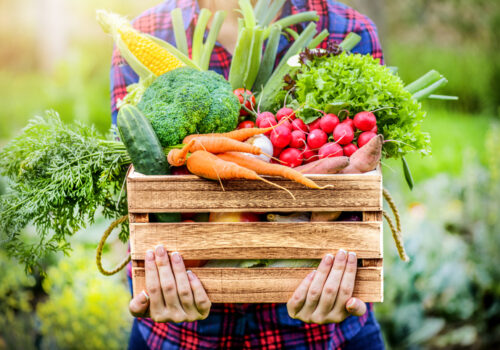 5 Tips For Starting A Budget Vegetable Garden