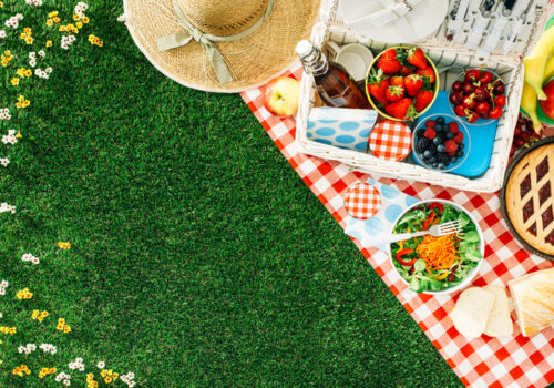 Best Ideas on What to Pack in Your Summer Picnic Basket