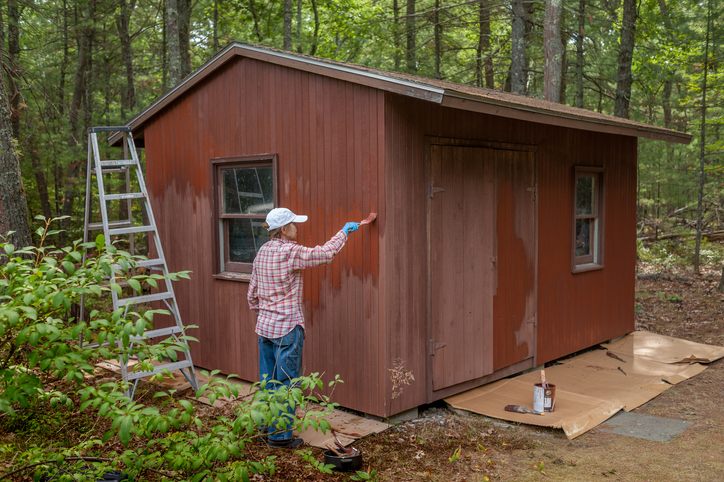 woman painting a shed in the back yard